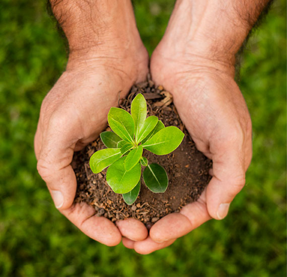 abnt inmetro produtos